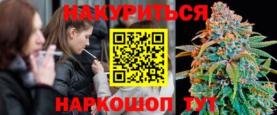 прущие крисы Малгобек