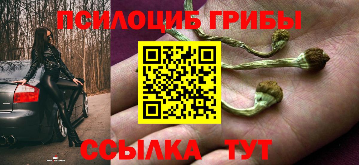 Галлюциногенные грибы Psilocybe  Вход с VPN  Городец 
