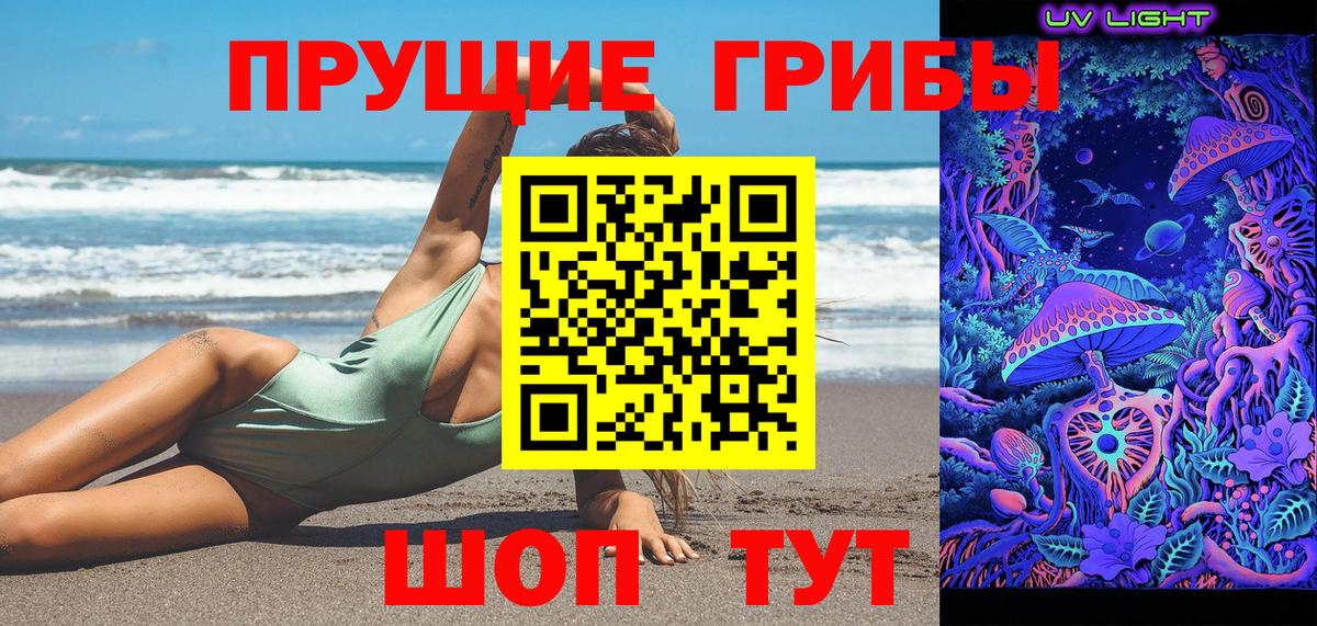 Псилоцибиновые грибы Psilocybe Городец
